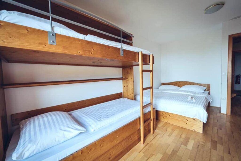 Forest Apartmani Videc - Mariborsko Pohorje - Studio apartmani