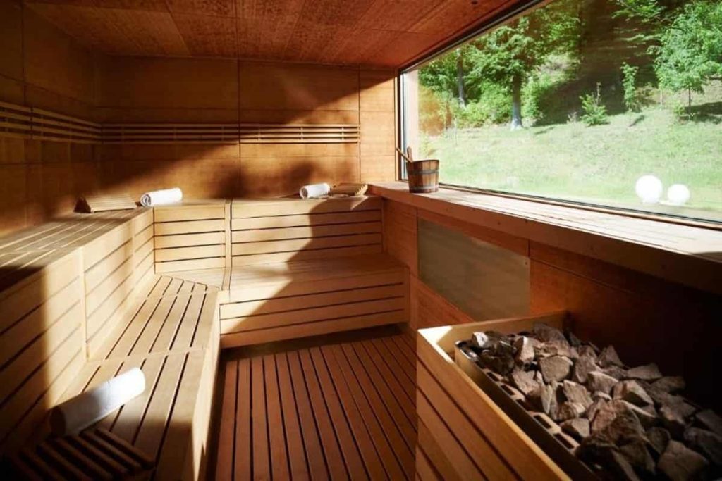 Atlantida Boutique Hotel, Rogaška Slatina - Saune